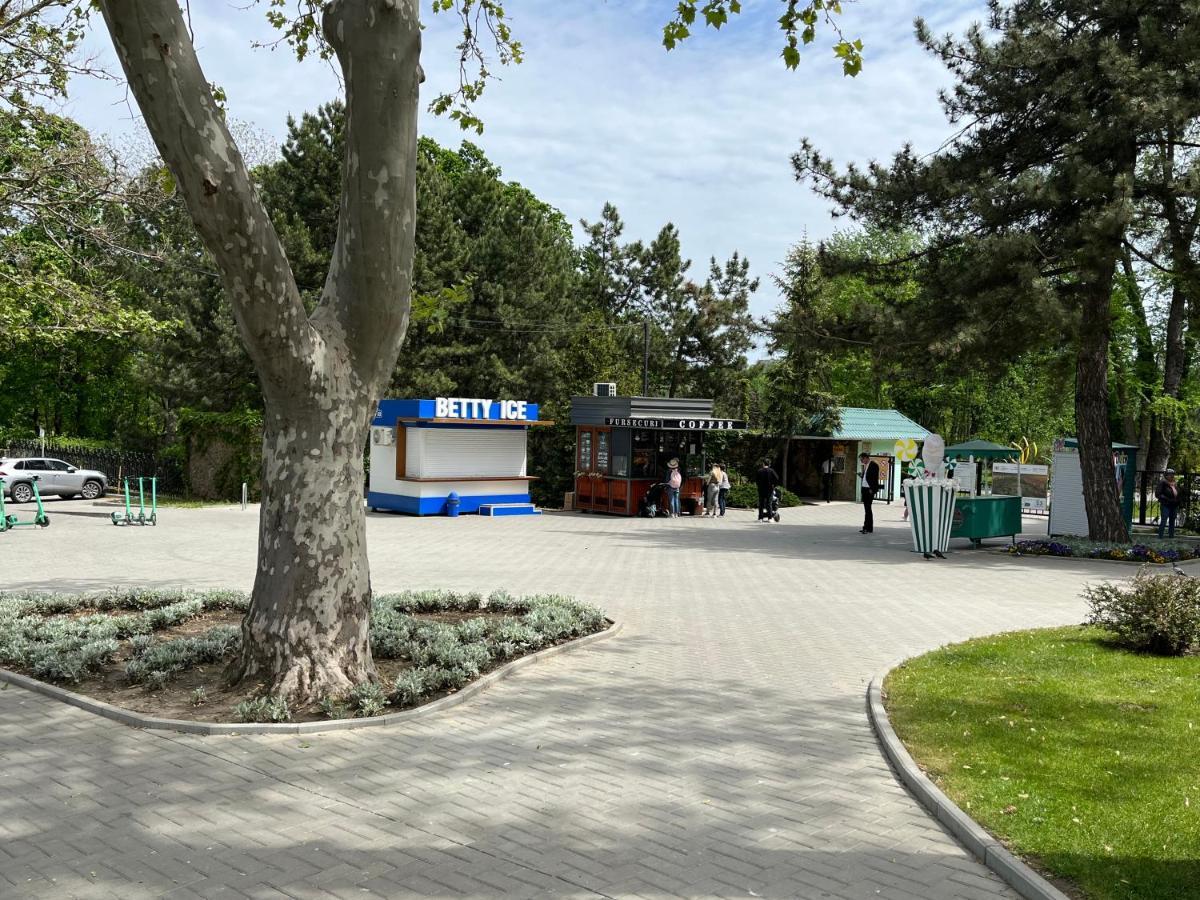 Dendrarium Park Apartment Κισινάου Εξωτερικό φωτογραφία