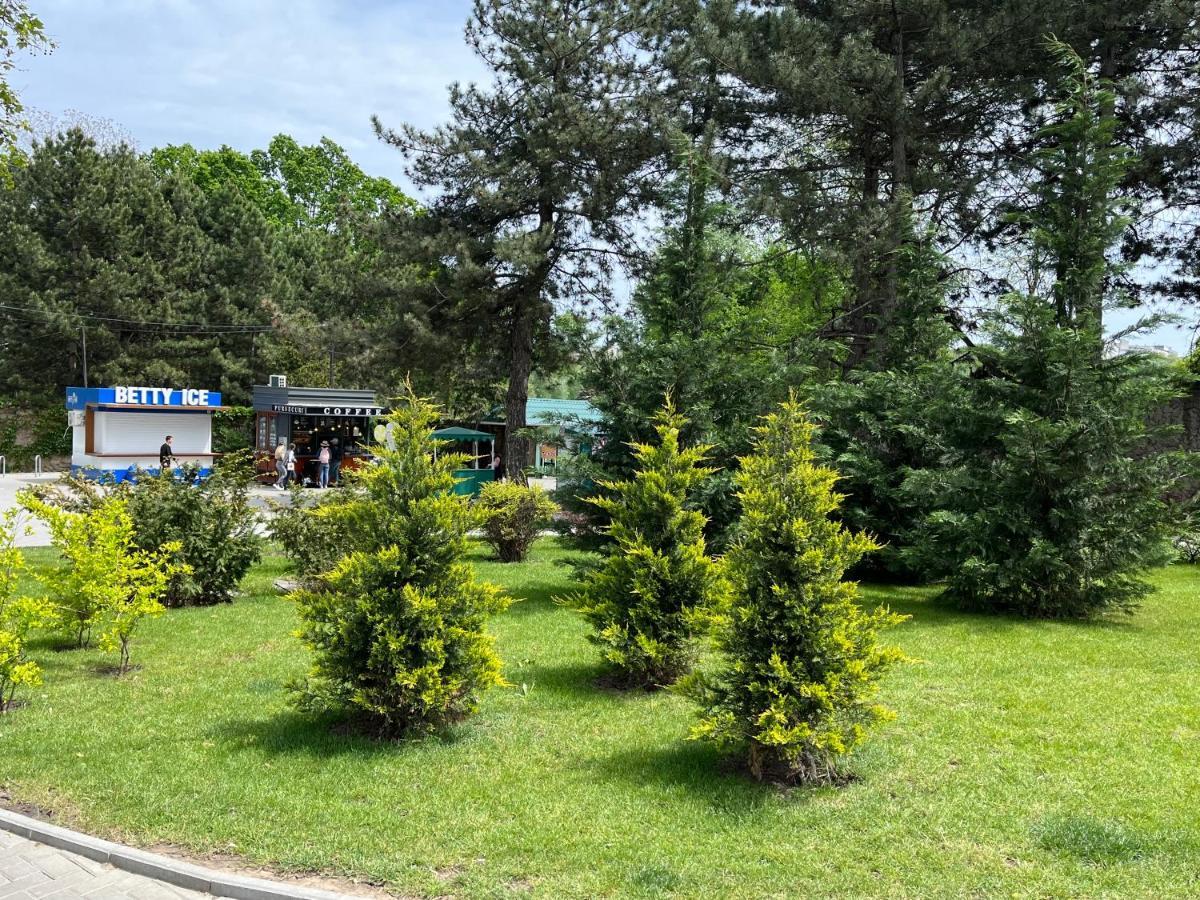 Dendrarium Park Apartment Κισινάου Εξωτερικό φωτογραφία